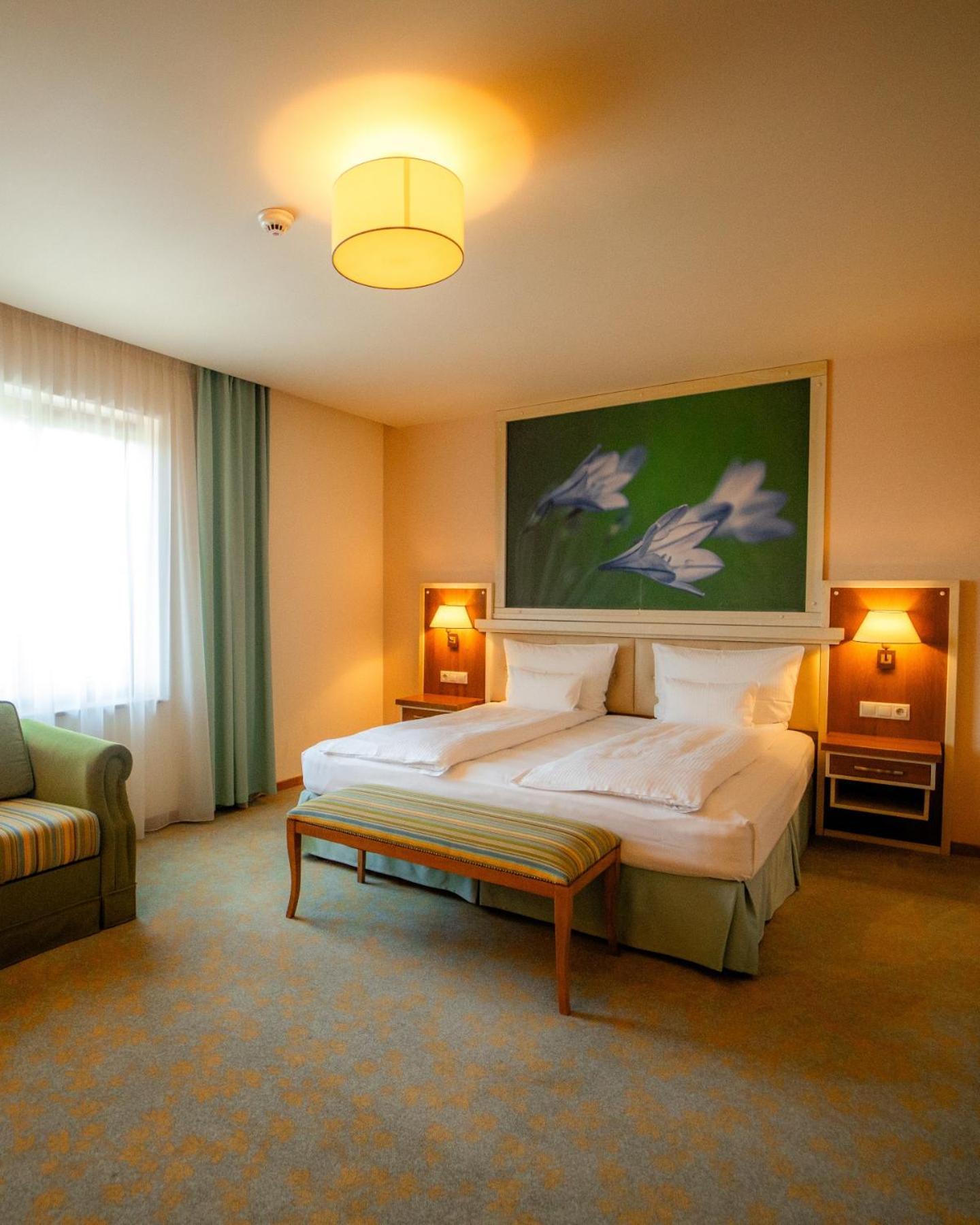 Hotel Sonnenhof Suceava Eksteriør billede