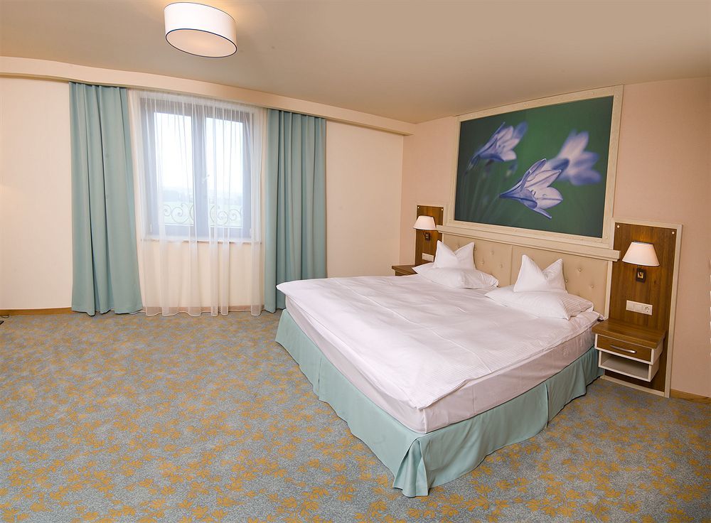 Hotel Sonnenhof Suceava Eksteriør billede